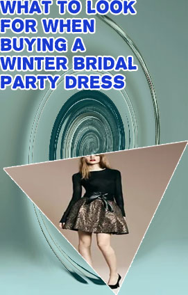 Winter style party dress